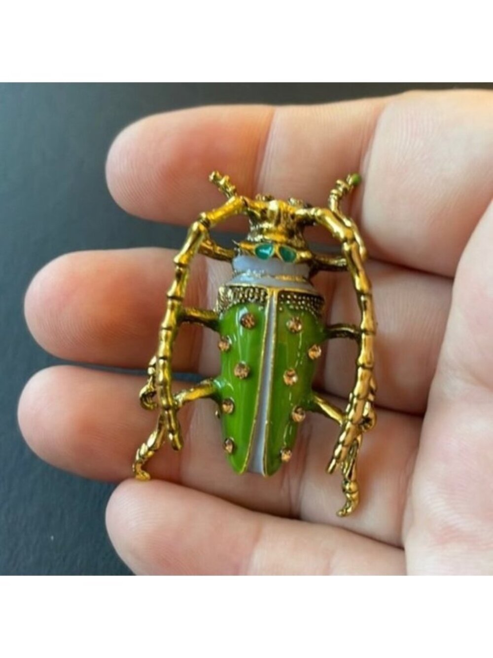 - Anthropologie beetle 🪲 brooch